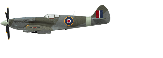 Spitfire Mk.XIV